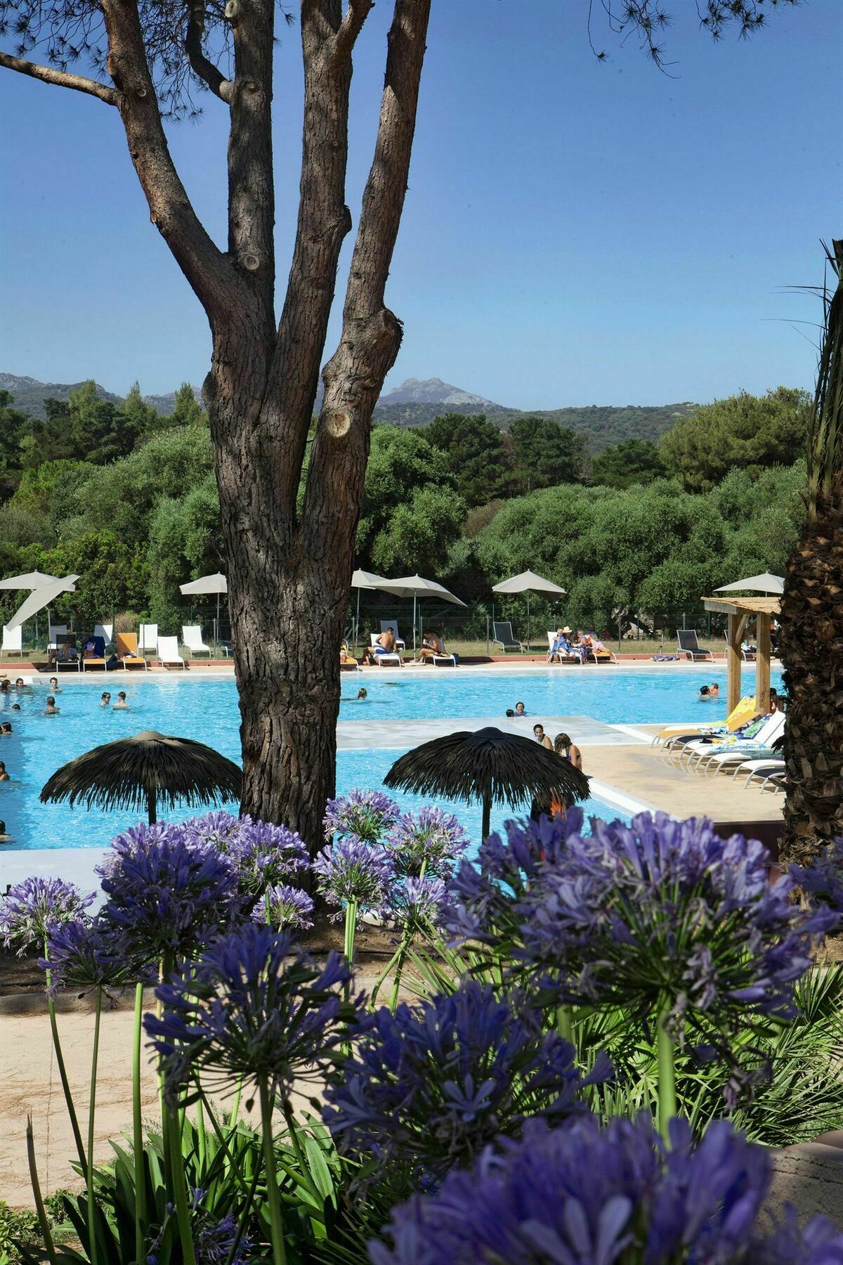 Belambra Clubs Belgodere - Golfe De Lozari Hotel Exterior foto